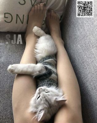 坠落的女教师_高清在线手机播放