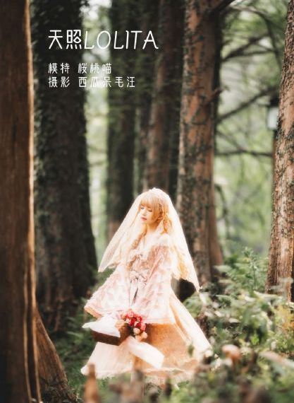 韩剧《鬼怪》在线观看_BD英语高清在线